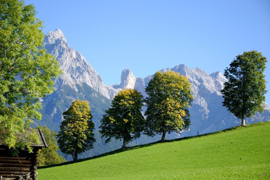 Daslichtenberg Westside Saalfelden Стая снимка